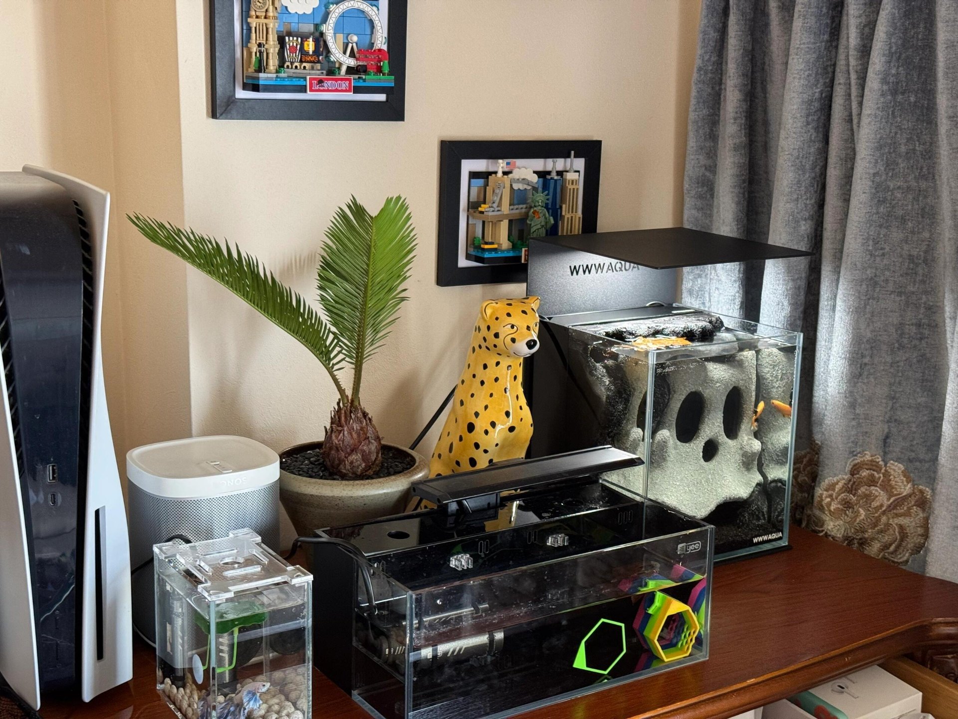 Customer setup